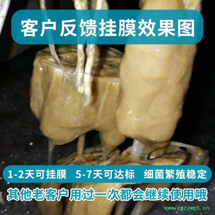 甘度厌氧强化菌种 厌氧反应器菌 厌氧塔专用菌种 厌氧池专用菌产气量 产甲烷菌种 污水处理菌种图5