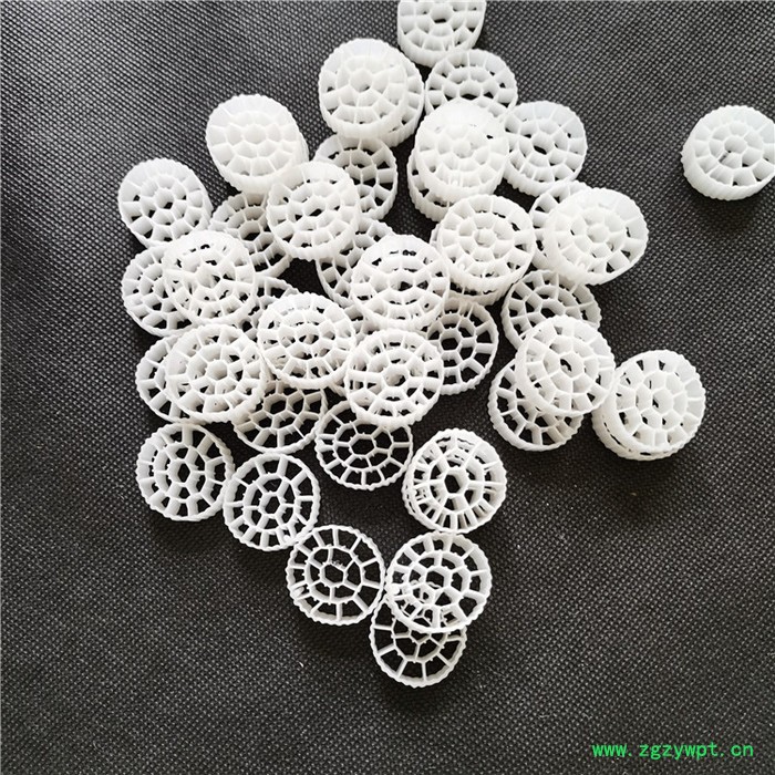 好源来环保 生物挂膜填料 MBBR流化床 悬浮生物反应器配套  送货上门图2