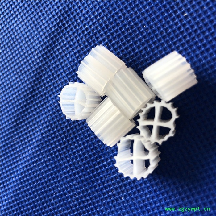 好源来环保 生物挂膜填料 MBBR流化床 悬浮生物反应器配套  送货上门图6