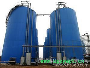 IC厌氧反应器图3