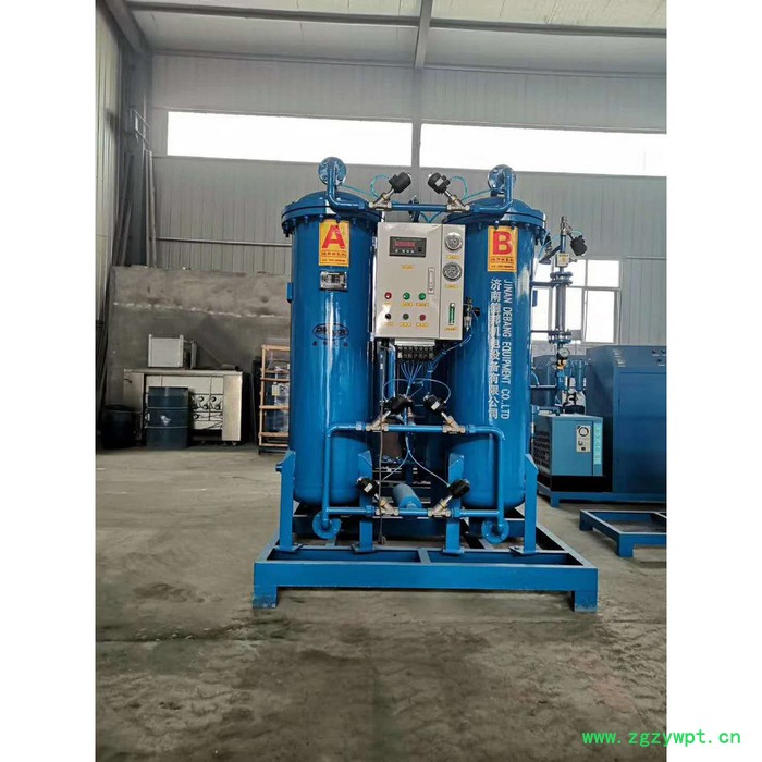 德邦BPDN-50/98 氮气发生器 化工制氮机 食品级**图4