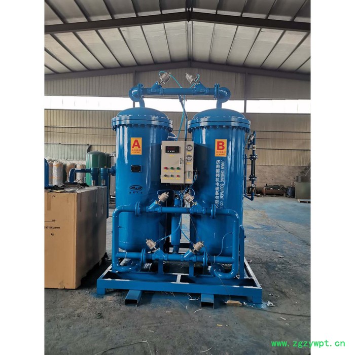 德邦BPDN-50/98 氮气发生器 化工制氮机 食品级**图2