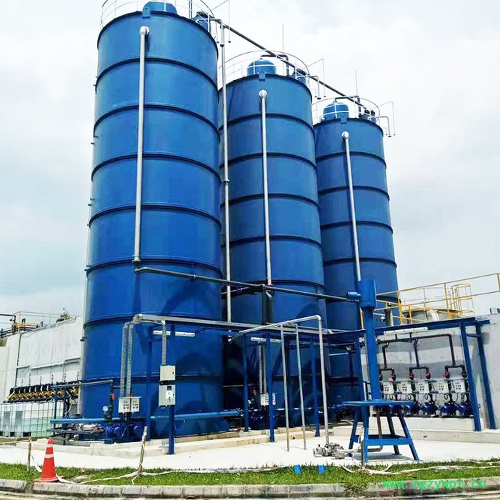 IC/EGSB厌氧反应池 厌氧反应器  厌氧反应器  厌氧塔  厌氧塔厂家图2