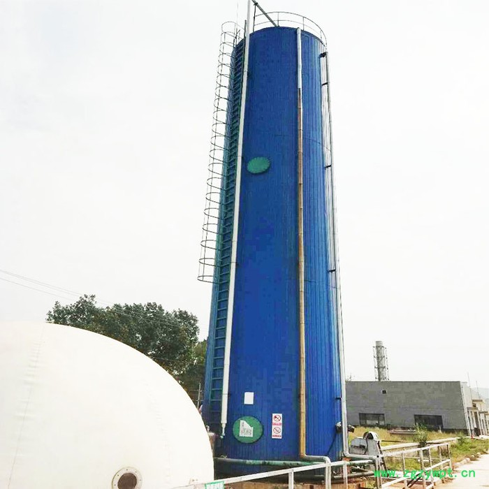 IC/EGSB厌氧反应池 厌氧反应器  厌氧反应器  厌氧塔  厌氧塔厂家图3