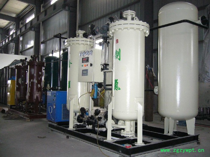 隆耀 PSA制氮机 LY-99.9-50 采用**碳分子筛生产图3