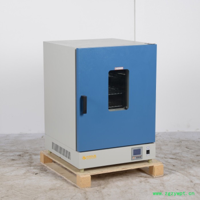 热风烘箱DS-960HL  上海厂家现货直销 非标定制定做 可定制热风循环烘箱 高温烘箱图5