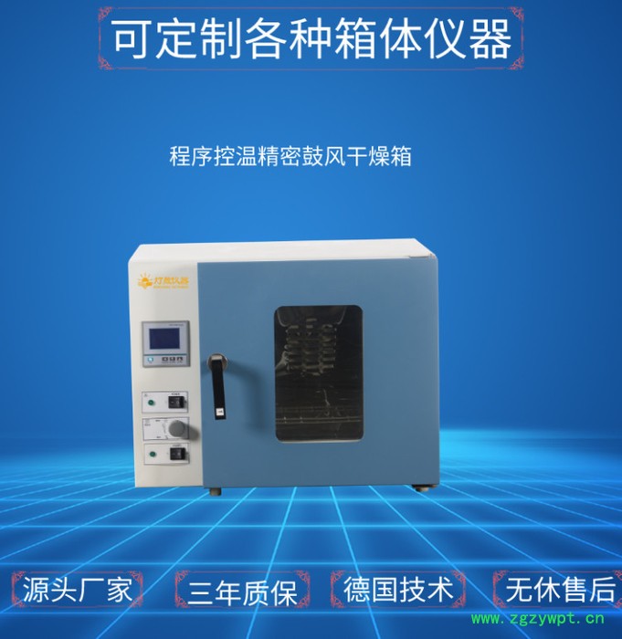 精密烘箱（程序控温） DS-270BP 上海厂家现货直销精密烘箱  高温干燥箱图2