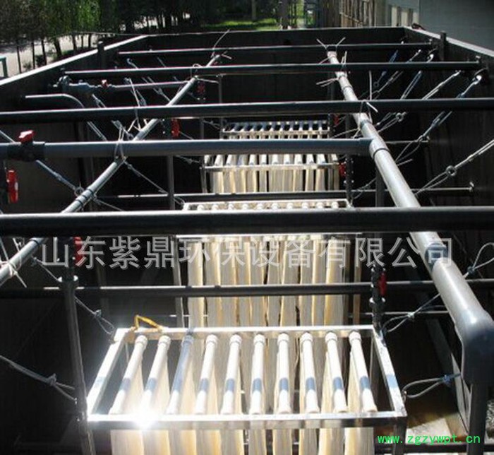 紫鼎牌生物反应器 MBR膜反应器 污水 中水回用装置图2