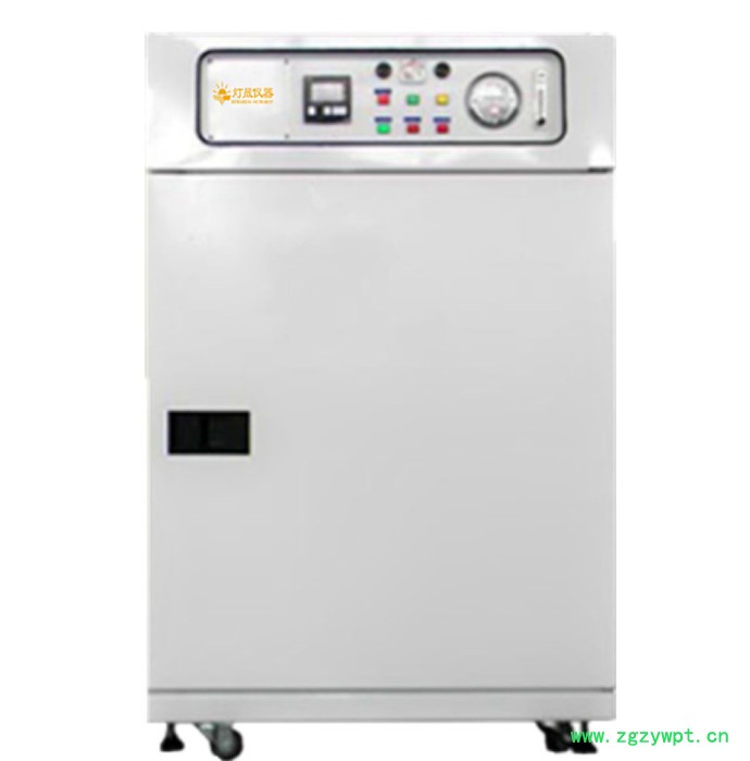灯晟仪器DHG-9180DF 百级无尘洁净烘箱 可非标定做定制高温无尘无氧百级洁净烘箱干燥箱图2