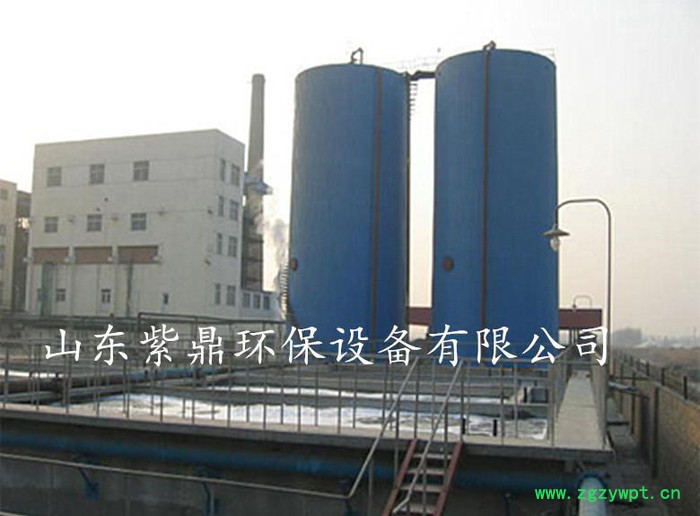 专业制作内循环厌高效氧反应器 IC厌氧反应器图2