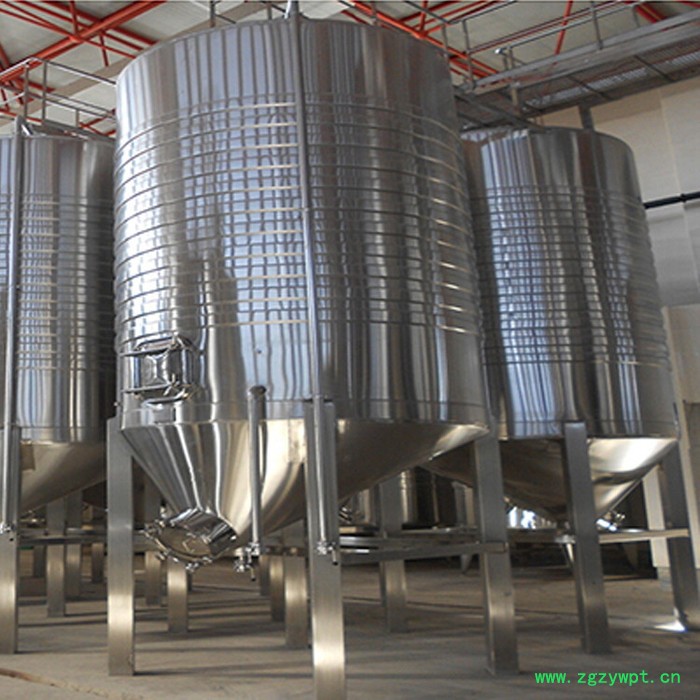 河北【宏升】生物发酵罐，大型发酵罐，酒类发酵罐生产厂家！图6