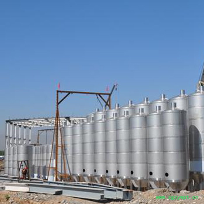 河北【宏升】生物发酵罐，大型发酵罐，酒类发酵罐生产厂家！图4