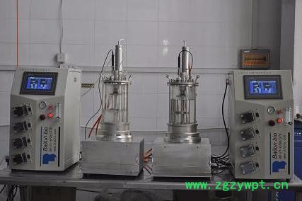 5L型离位灭菌发酵罐图2