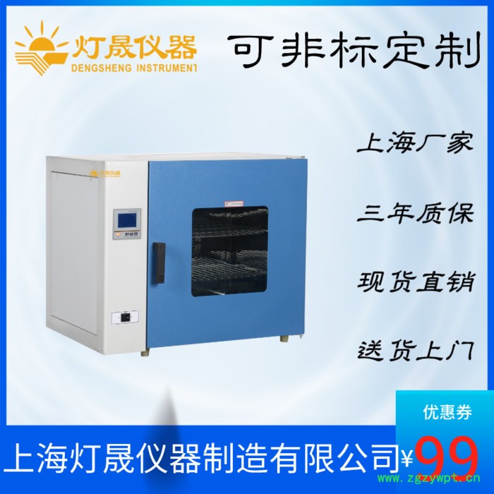 精密烘箱（程序控温） DS-70BP 上海厂家现货直销精密烘箱  高温干燥箱图3