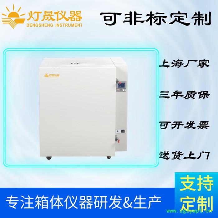 灯晟仪器DS-77高温烘箱生产厂家 高温烘箱定制 上海非标高温鼓风干燥箱定制图5