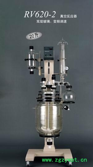 RV-620-2，真空反应器图2