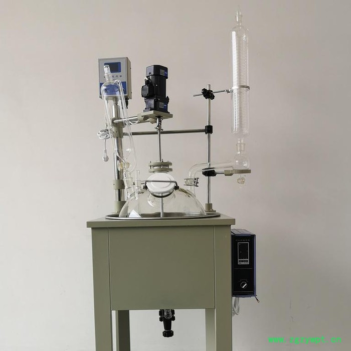 **单层玻璃反应釜F-10L 多功能反应器 不锈钢加热锅可水浴油浴 上海互佳仪器图3