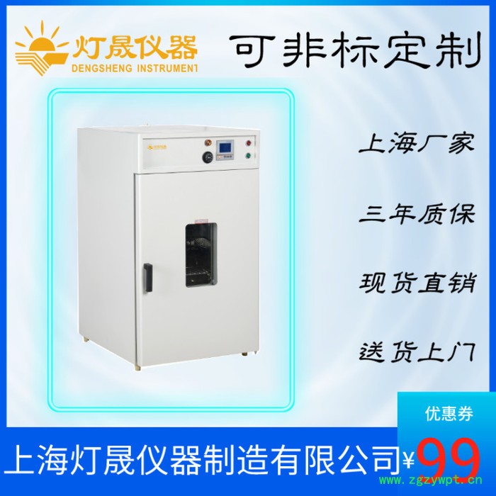 精密烘箱（程序控温） DS-420LBP 上海厂家现货直销精密烘箱  高温干燥箱图2