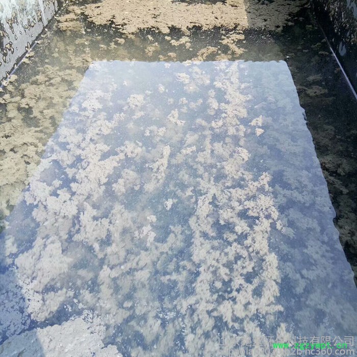 跑蓝环保 MBR膜污水处理设备 一体化MBR膜生物反应器 mbr一体化废水处理设备图4