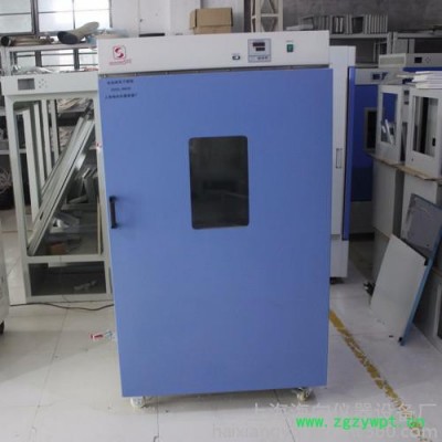 上海海向生产鼓风烘箱 干燥箱价格 大型定制干燥箱