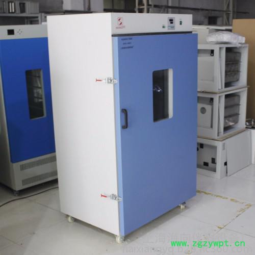 上海海向生产鼓风烘箱 干燥箱价格 大型定制干燥箱图2