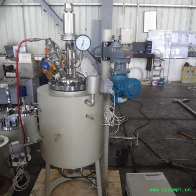 【新元化机】厂家 哈氏合金反应釜 回路反应器 反应釜定制厂家XYHJ-23