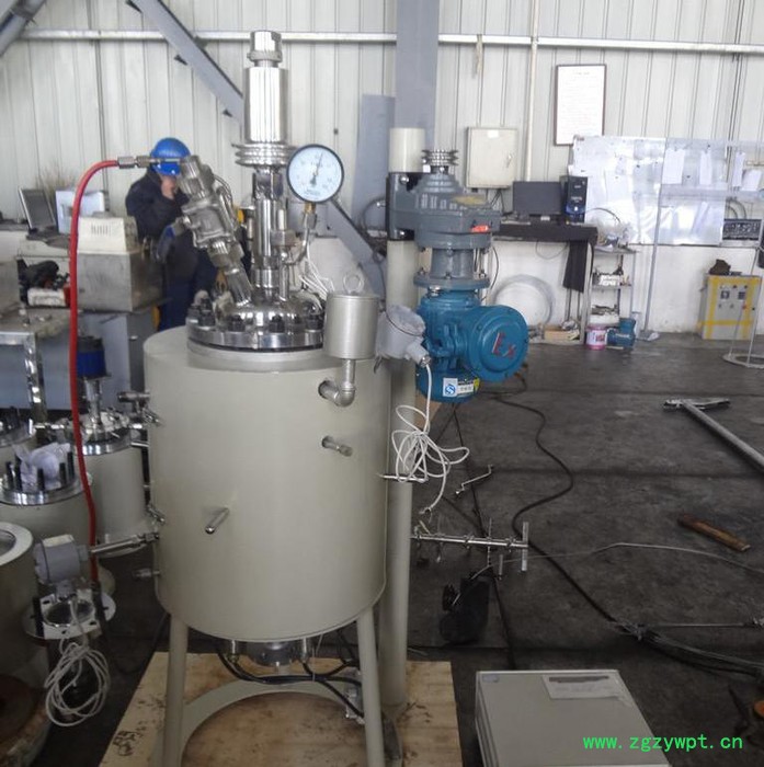 【新元化机】厂家 哈氏合金反应釜 回路反应器 反应釜定制厂家XYHJ-23图5