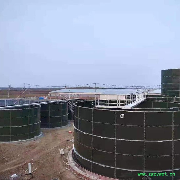 卓远UASB 厌氧发酵罐 发酵罐设备图2