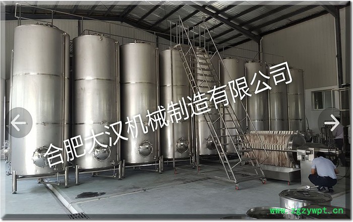 【大汉】果酒发酵罐 葡萄酒发酵罐图2