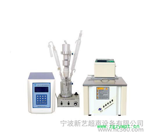 Xinyi-1D型 恒温密闭式超声波反应器 纳米材料超声波反应器图2