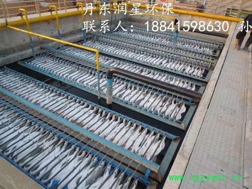 润星RMBR 膜生物反应器图2