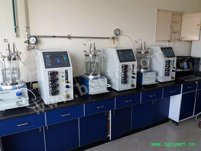 离位灭菌发酵罐   上海保兴发酵罐厂家   磁力搅拌玻璃发酵罐  发酵罐  发酵罐厂家   动物细胞发酵罐图3