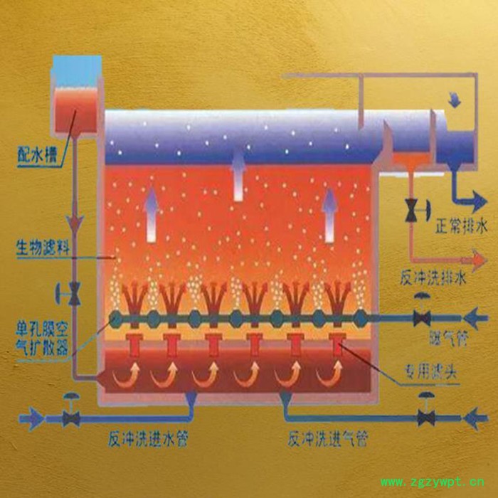 BAF曝气生物滤池 微电解塔 芬顿反应器 uasb厌氧塔图3