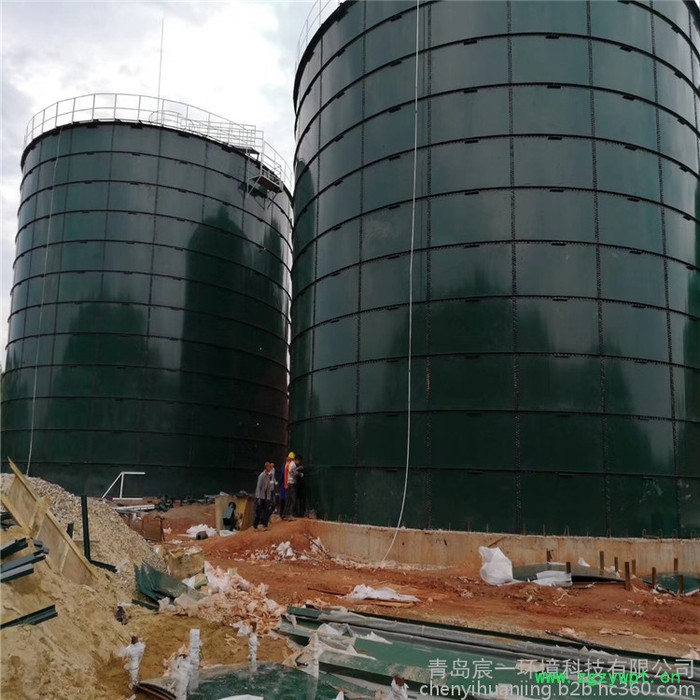 宸一环境UASB沼气反应器 4000立方生物天然气项目厌氧发酵罐图2