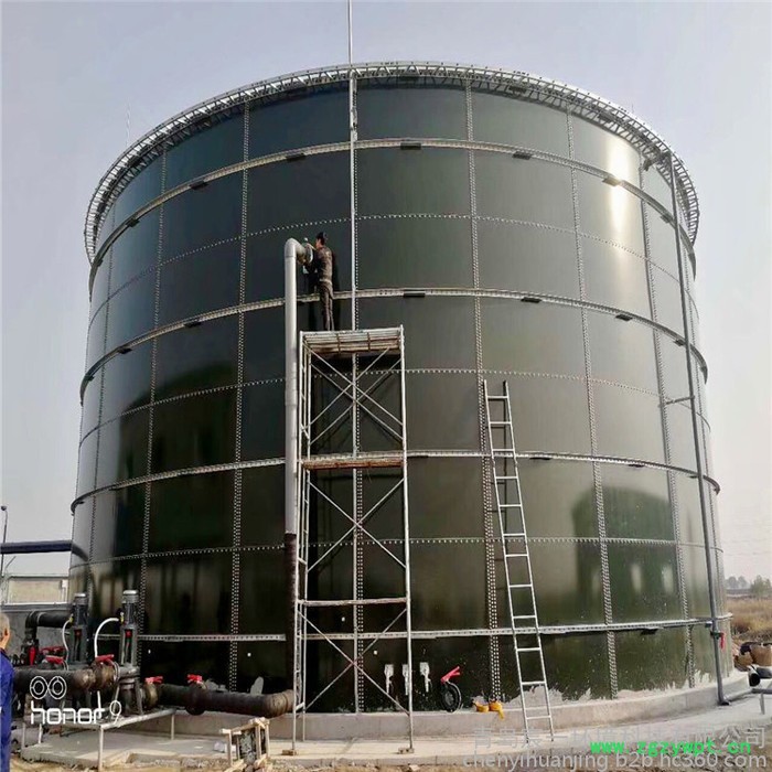 宸一环境UASB沼气反应器 4000立方生物天然气项目厌氧发酵罐图3