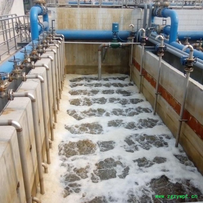 清大国华GHM-150-80  mbr膜反应器膜片厂家  平板膜组件图6