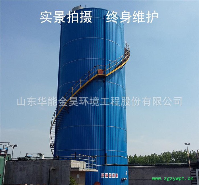 EGSB厌氧反应器 厌氧罐 颗粒污泥床流化床反应器图2