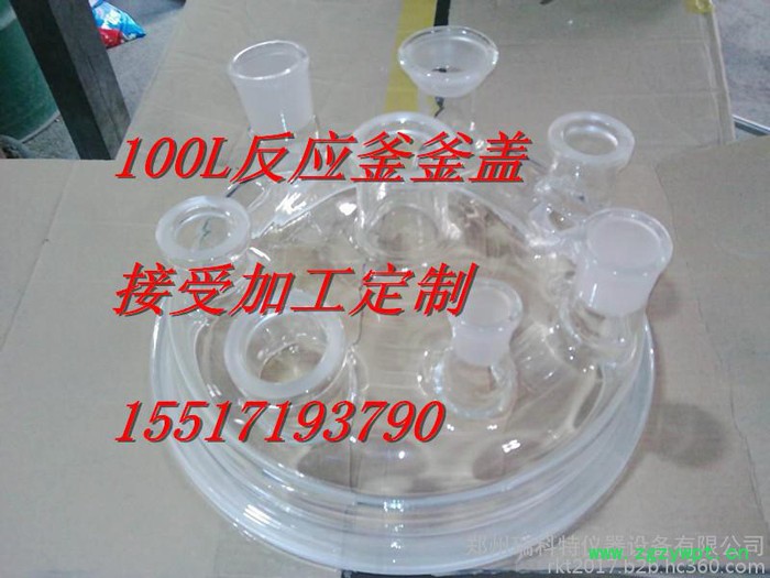 RKT反应器釜盖图3