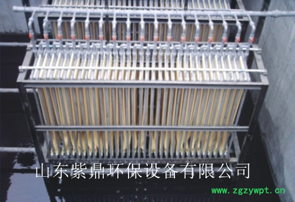 紫鼎定制MBR膜生物反应器图4