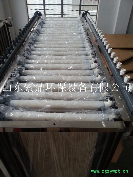 紫鼎定制MBR膜生物反应器图2