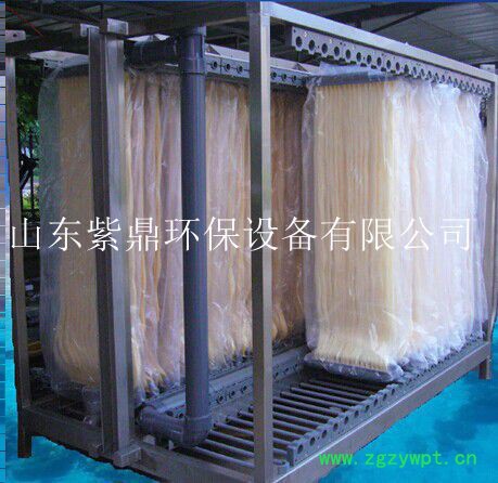 紫鼎定制MBR膜生物反应器图3