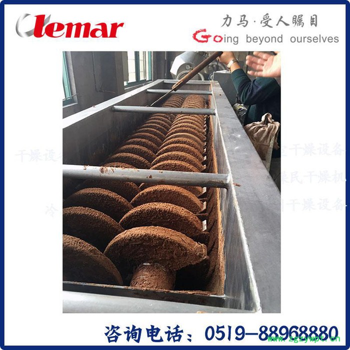 常州力马-双扉门热风循环烘箱URS、CT-C-F原料药干燥箱符合GMP图5