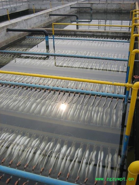 供应森铂SPMBR系列MBR膜生化反应器 专业生产厂家**产品图2