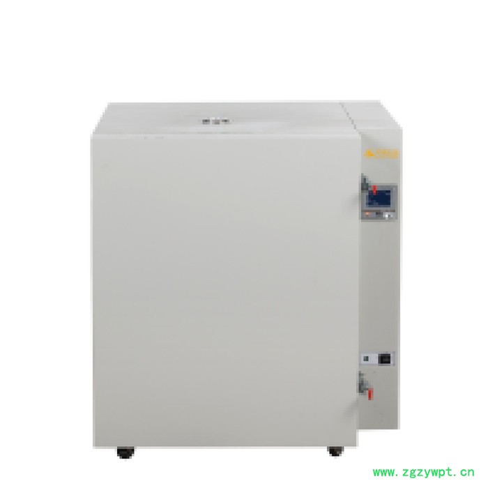 500℃高温烘箱 DHG-9097A 上海厂家现货直销 可定做定制600℃高温鼓风干燥箱 充氮干燥箱图3