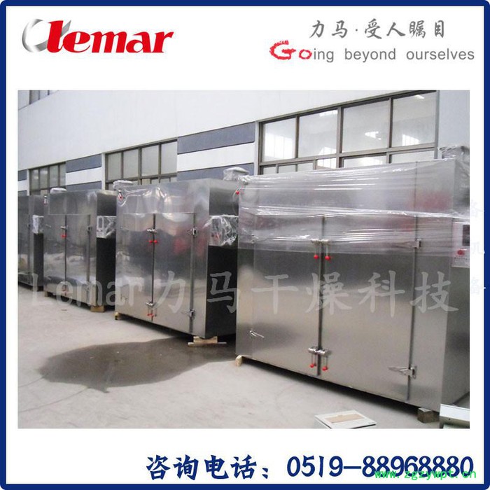 常州力马-CT-C-II双扉互锁型热风循环烘箱、原料药干燥箱厂家图3