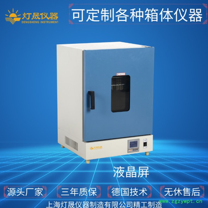 热风烘箱DS-35HL上海厂家现货直销 非标定制定做 可定制热风循环烘箱 高温烤箱图2