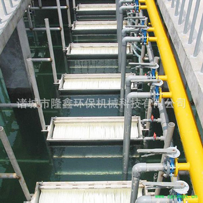 隆鑫 MBR膜处理设备 膜生物反应器图3