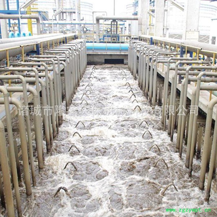 隆鑫 MBR膜处理设备 膜生物反应器图4