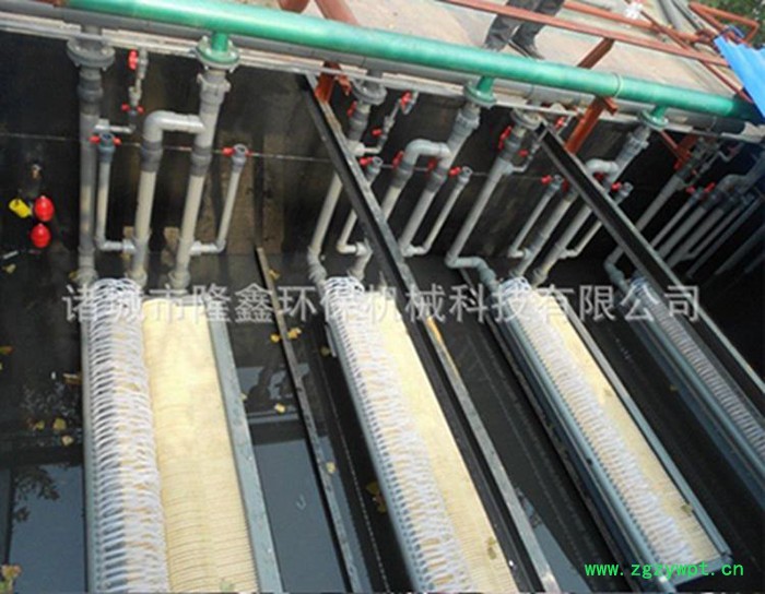 隆鑫 MBR膜处理设备 膜生物反应器图2