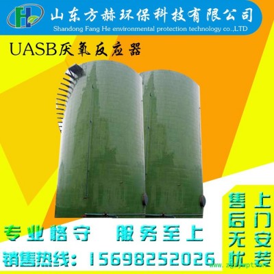 厂家供应污水处理设备 UASB厌氧反应器  UASB反应器 高效去除COD设备